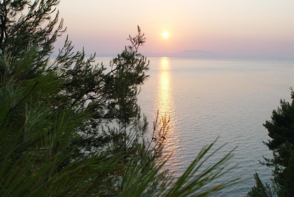 Petra Villa Afytos Bagian luar foto